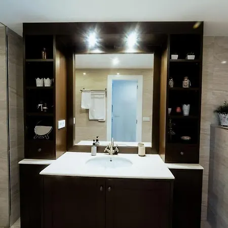 Apto. Plaza Seneca Centro Alicante