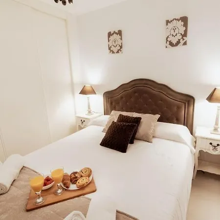 Apto. Plaza Seneca Centro Alicante